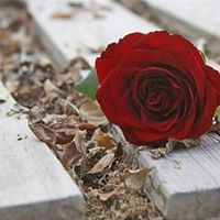 منال برادعية