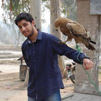Khayyam Farooq