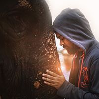 विमल अधिकारी