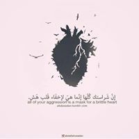 Zaid Msh
