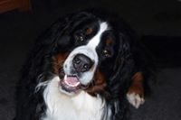 Stacee Stracner Severino