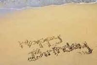 Sarvagnareddy Gadeela