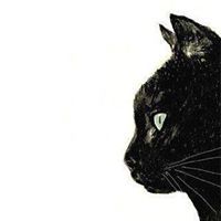 Cat Black