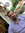 Alireza | 32 comments