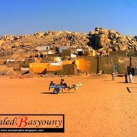 رمضان الأسوانى