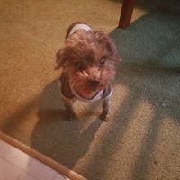 Roxanne Perry Saunders