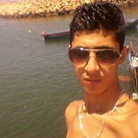 البروفيسور حمزة