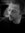 James Flint | 4 comments