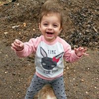 פאדי עראידה