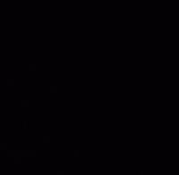 زهرة الربيع