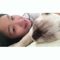 Aimee Teng