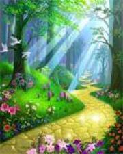 أبوعبيدة عمر