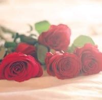 ђeNd SђЄДsђëД