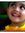 Syed Ali