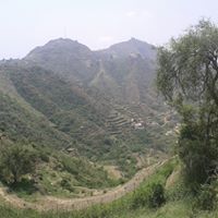 عبدالله غزواني