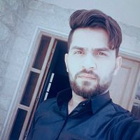 شايب بعمر الورد