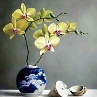 Жавхаа Жавхаа