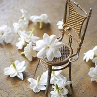 ايات العبادي