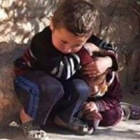 محمد عز العرب