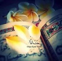 حنان يونس