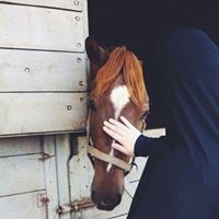 براده الالماس