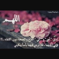 Nourhan Salah Eldien