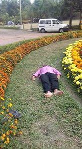 মরহুম সাখাওয়াত