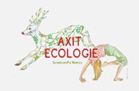 Axit Eco