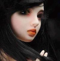 বর্ণিল প্রজাপতি