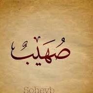 أبوصهيب الأزهرى