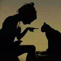 رورو الشهري