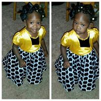 Cassonica Stephenson