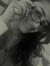 Areej I...