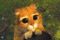 Πατσαδακης Αλεξανδρος