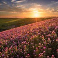 بهارات العطار