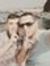Abdou S...