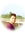 Asheesh | 17 comments