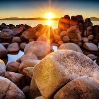 محمود الرحبي