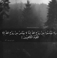 Bassem Muhamed III