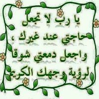 محمد ابو فاطمه