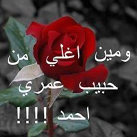 هاله الدرديري