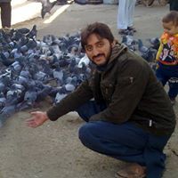 M Amjad