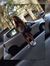 Alessia...