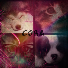 Cora