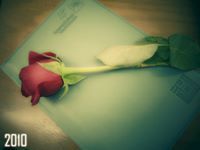 الزهراء معصومة