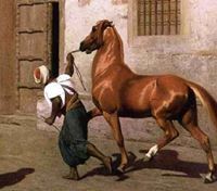 اسماعيل طيبي