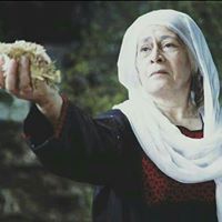 آية استيتية