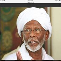 محمد الطويل