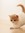 Syeda | 7 comments