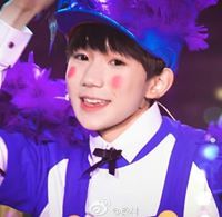 Hồng Hạc Đỉnh
